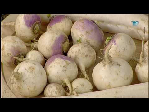 Ne Shtepine Tone, 21 Dhjetor 2017, Pjesa 3 - Vlerat ushqyese të rrepave