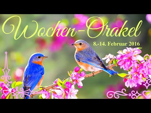 Engel-Wochenorakel vom 8.-14. Februar 2016 - Conny Koppers