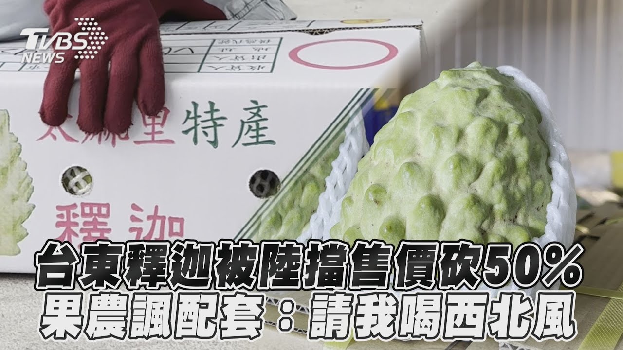 專題/鳳梨釋迦傾力銷陸反遭養套殺 返鄉青農吐真話