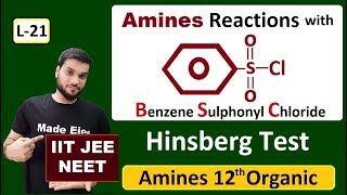 (L-21) Hinberg Reagent || Amines Reaction with Arylsulphonyl Chloride || Test of Amines || JEE NEET