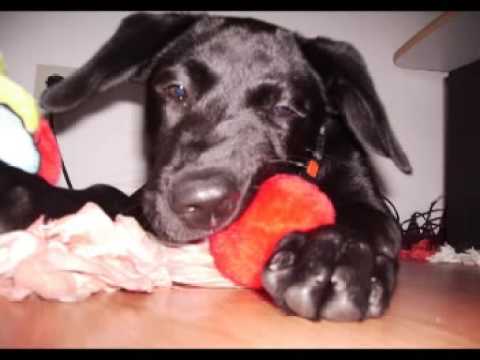 Tomte - Endlich einmal