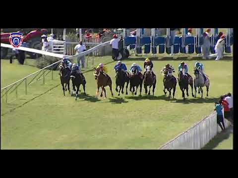 RM38 R5 | Wordbuster | D.Sooful