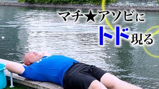 【マチ★アソビ】にてサウナで整うトドの撮影に成功しました【vol.28】