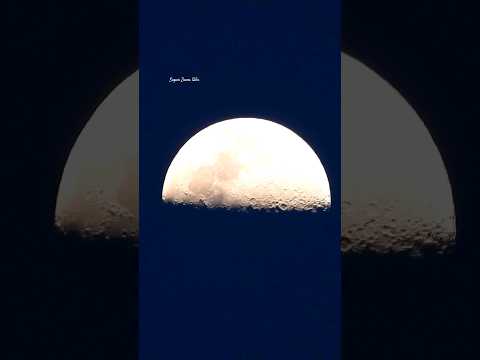 Moon Super Zoom | Nikon P1000 Zoom Test #nikonp1000 #moon