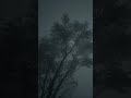 grey sky intro