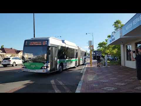 TP3001 Transperth Bus M.A.N A24 NG313F Custom Coaches CB60 EvoII Departing