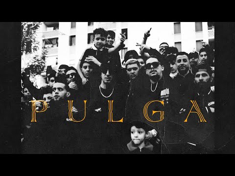 Nirmou - Pulga ft @mvss_officiel