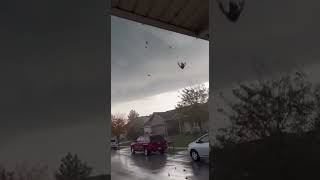 🐸 “Apocalypse Rain: Frogs Falling from the Sky!”