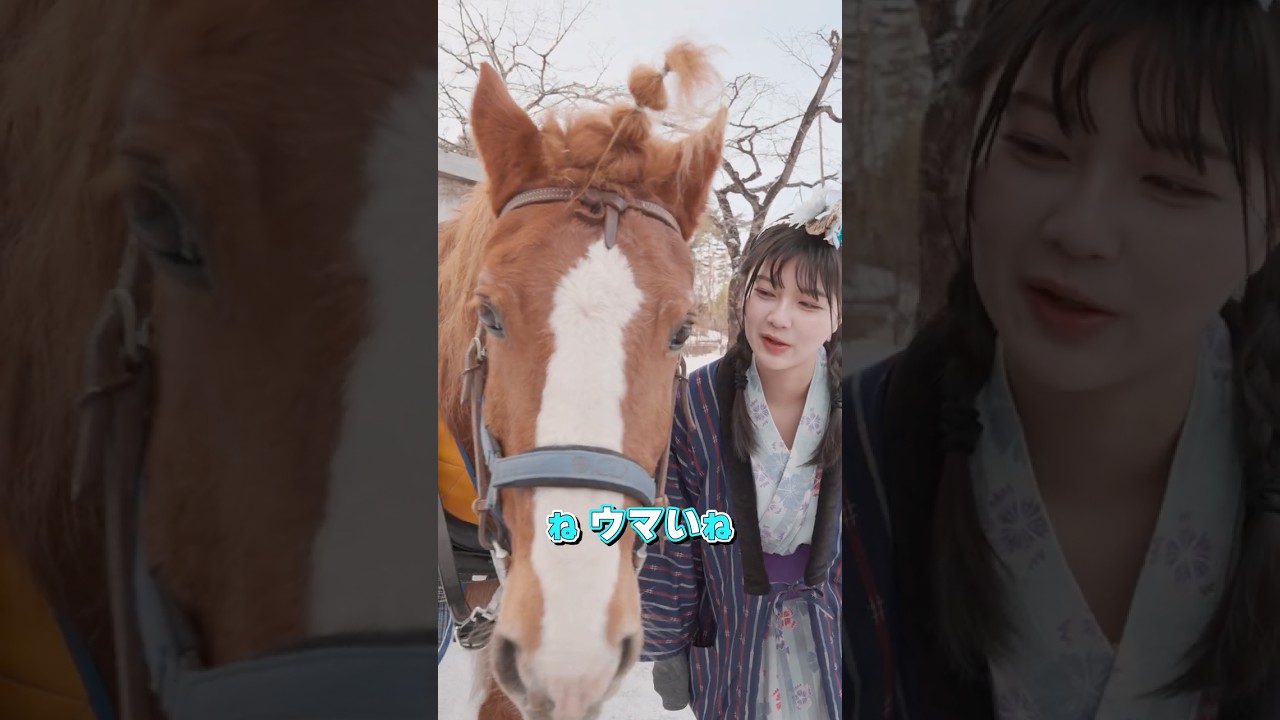 #冬 の #青森屋 さんで馬車に乗車!!ストーブで暖まりながら見る絶景は格別でした #shorts #星野リゾート #スターダストプロモーション #いぎなり東北産 #themadeintohoku