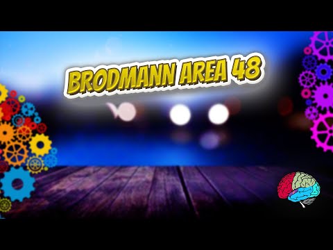 Brodmann Area 48 - Know It ALL 🔊✅