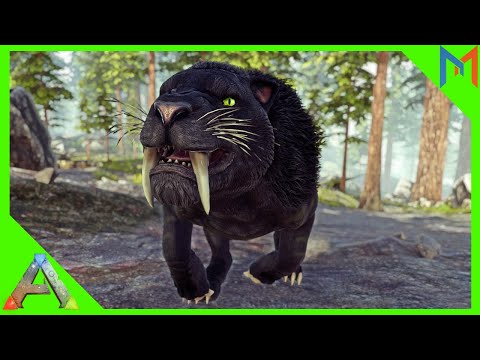 HIGH LEVEL SABERTOOTH TAMING [ARK: Survival Evolved - The Island: Episode 4]