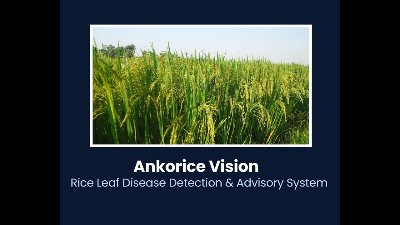 Angkorice Vision Demo