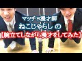 マッチョ漫才師ねこじゃらしの腕立てをしながら漫才をしてみた!