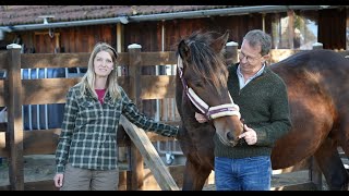 ➡️10 Fragen an einen🐴🤠Pferdeprofi ⬅️& das perfekte Pferdeeinstreu ✔️💰