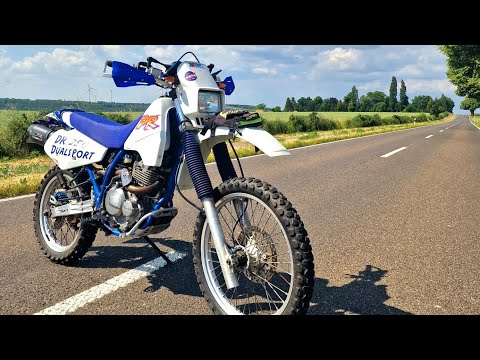 / Projekt abgeschlossen /