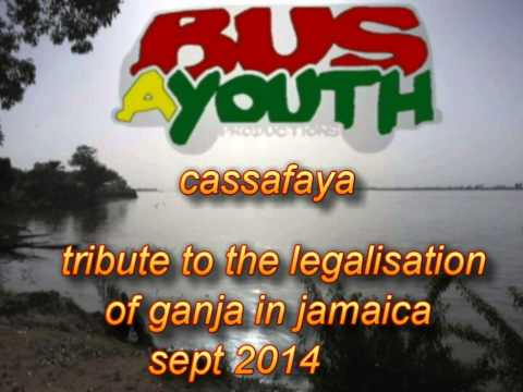 CASSAFAYA TRIBUTE TO THE LEGALISATION OF GANJA  IN  JAMAICA  2014