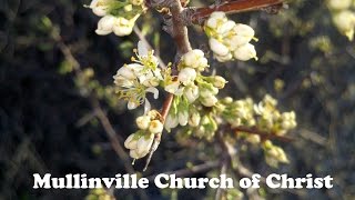 Jesus, let Us come to know You