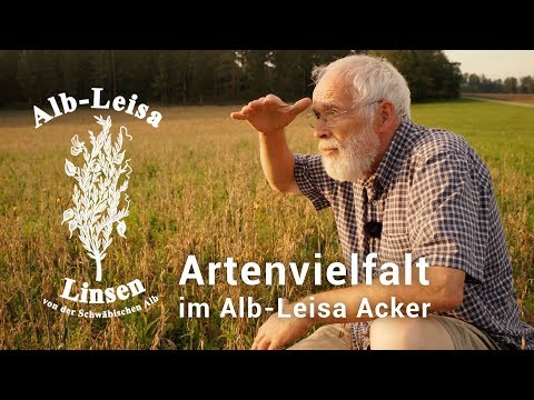Artenvielfalt im Alb-Leisa Acker