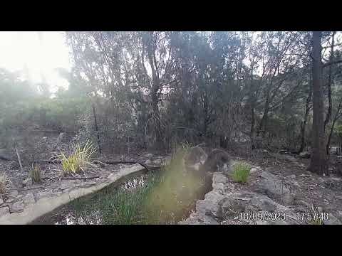 Thumbnail of the embedded YouTube video