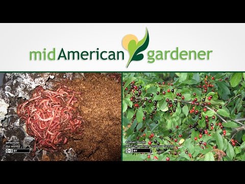 Mid-American Gardener with Jennifer Nelson - January 7, 2016