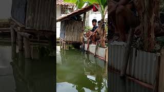 Download lagu kasihan tetangganya vuma jadi penonton🤣🤣 mp3