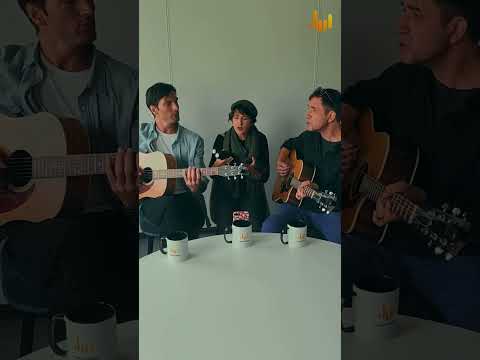 All about that bass - Cover session