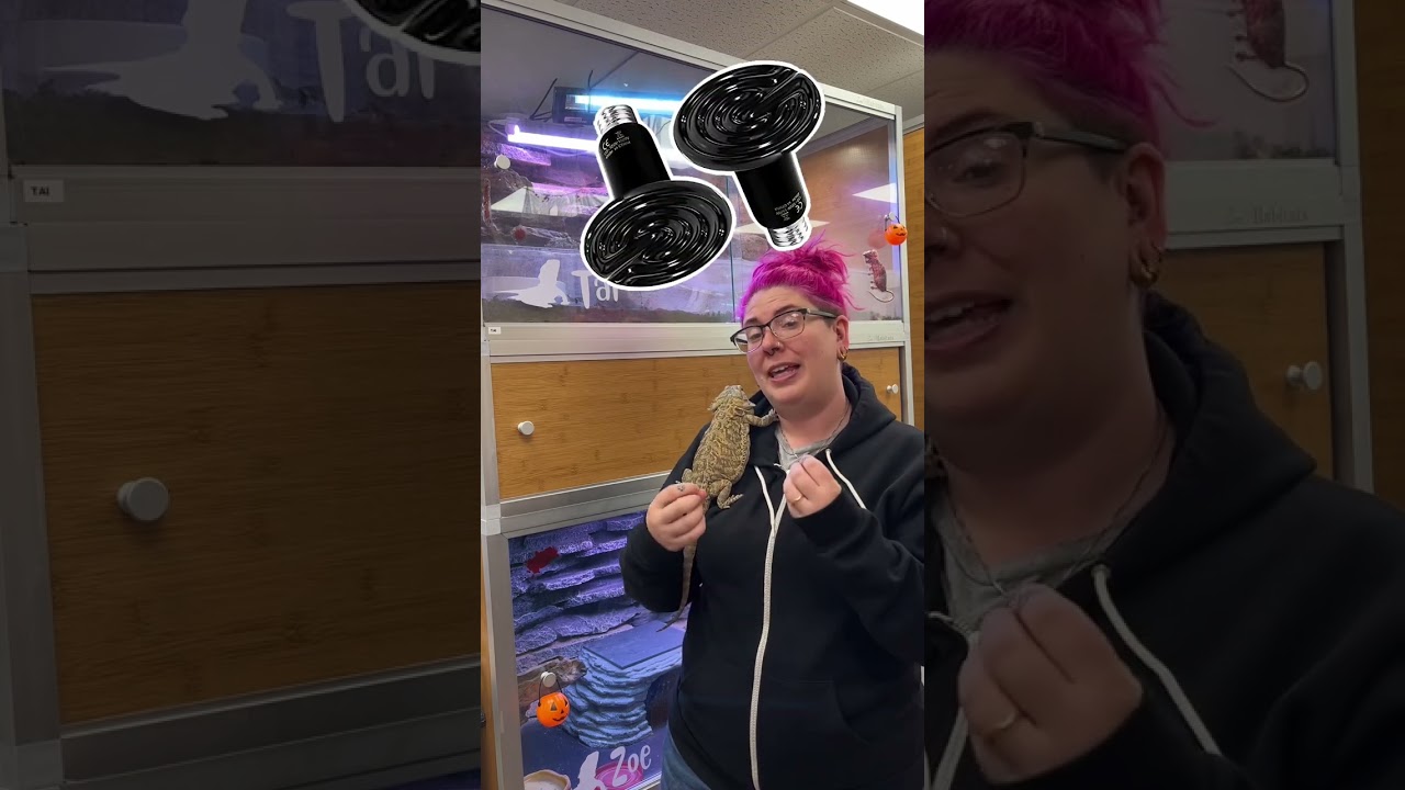 Need a tip for your Bearded Dragon lighting 🐲 Kasey’s got you covered!