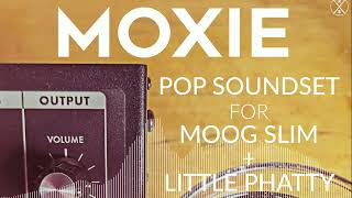 Video thumbnail for Moxie Pop Soundset for Moog Slim & Little Phatty - Pop Patches 2025 by Kulshan Studios