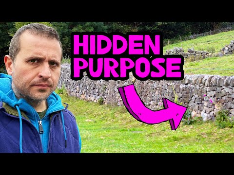 The Mystery of New England's Stone Walls (WEIRD ORIGIN STORY)