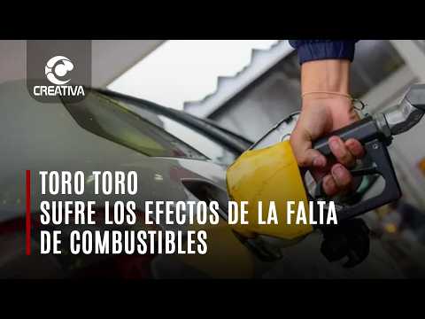 TORO TORO EN EL DEPARTAMENTO DE POTOSÍ, SUFRE LOS EFECTOS DE LA FALTA DE COMBUSTIBLES
