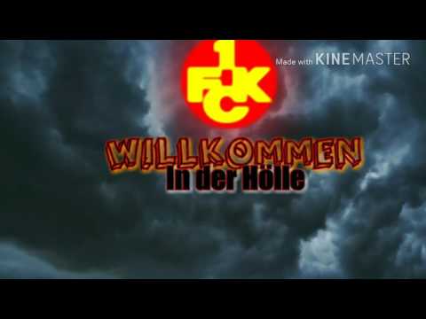 Unsere 8 Neuzugänge (Stand 13.6.2017)