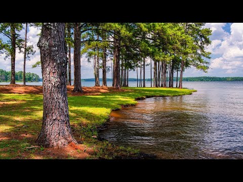 Нежная музыка, успокаивает нервную систему и радует душу - лечебная музыка для сердца и сосудов #145