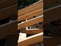 How to Install Simple Rafters Yourself #homestead #homeconstruction #build #housebuilding