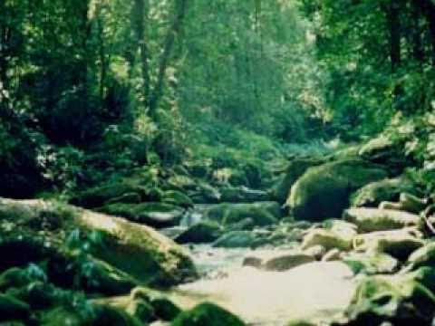 o Tambor do Grande Paye - O Aumbandhan - Drum Shaman