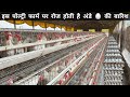 50 लाख का Egg Poultry Farm Business Plan Layer Poultry Farming