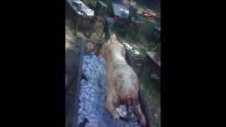 Catering Behind the Scenes