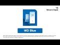 Video Review of the WD Blue SA510 250GB SATA M.2 2280 Internal SSD
