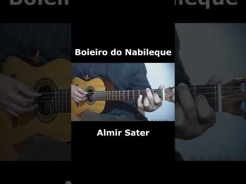Boieiro Do Nabileque - Almir Sater