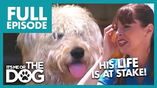 Thumbnail del capítulo