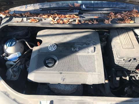 фото двигатель (двс) volkswagen golf-5 plus 0