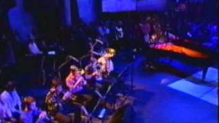 tori amos mr zebra jools holland 1995