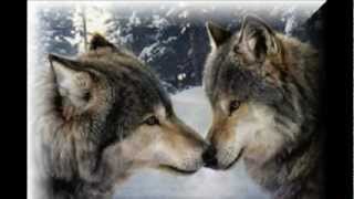 El virus del miedo Ismael Serrano