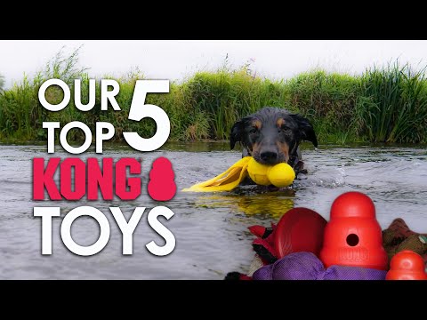 Our Top 5 Kong dog toys and how we use them - best dog toys | RL Dog Training
