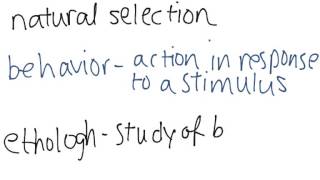Evolution of Animal Behavior
