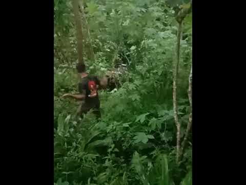 Pecah perawan.. buka lahan buat offroad