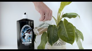 Orca Liquid Mycorrhizae + Bacteria 100ml