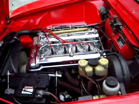 The BEST Alfa GT Bertone Sound EVER !