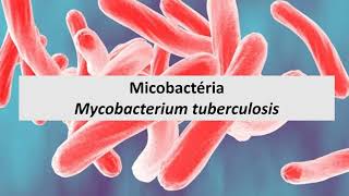 Microbiologia Médica: Mycobacterium tuberculosis