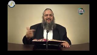 חוק לישראל - פרשת חיי שרה - יום רביעי | הרב שלמה לוינשטיין (ארגון קול הלשון) - התמונה מוצגת ישירות מתוך אתר האינטרנט יוטיוב. זכויות היוצרים בתמונה שייכות ליוצרה. קישור קרדיט למקור התוכן נמצא בתוך דף הסרטון