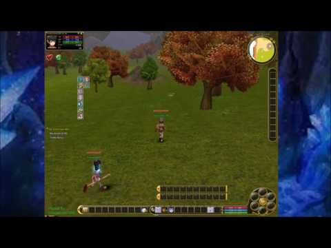 Let's Play Flyff (Devos) Part 47 (Assist, Lvl 17) - Der Tag, nach dem Awake Special